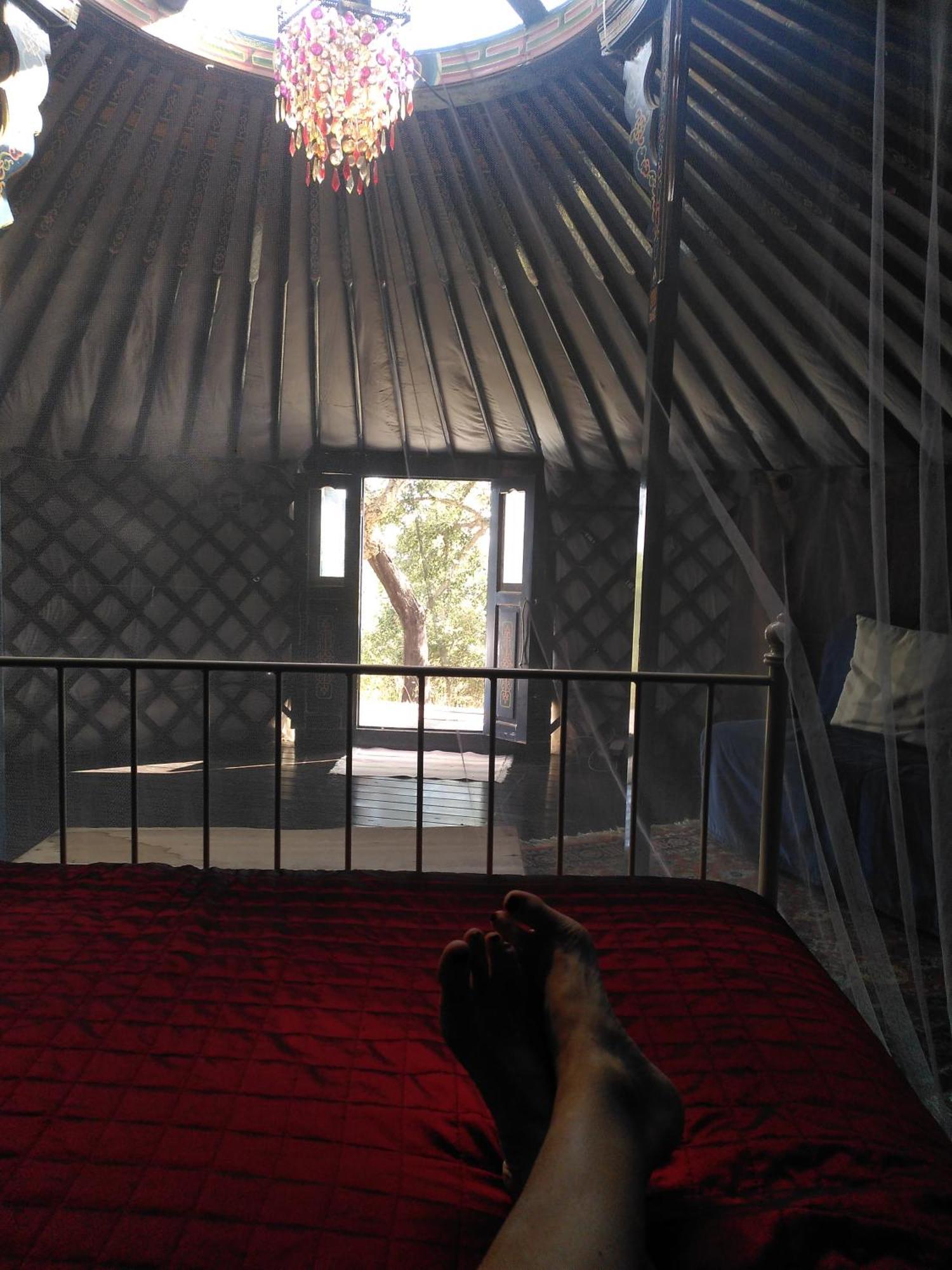 Eco Glamping Portugal Nature Lodge São Luís Exterior foto
